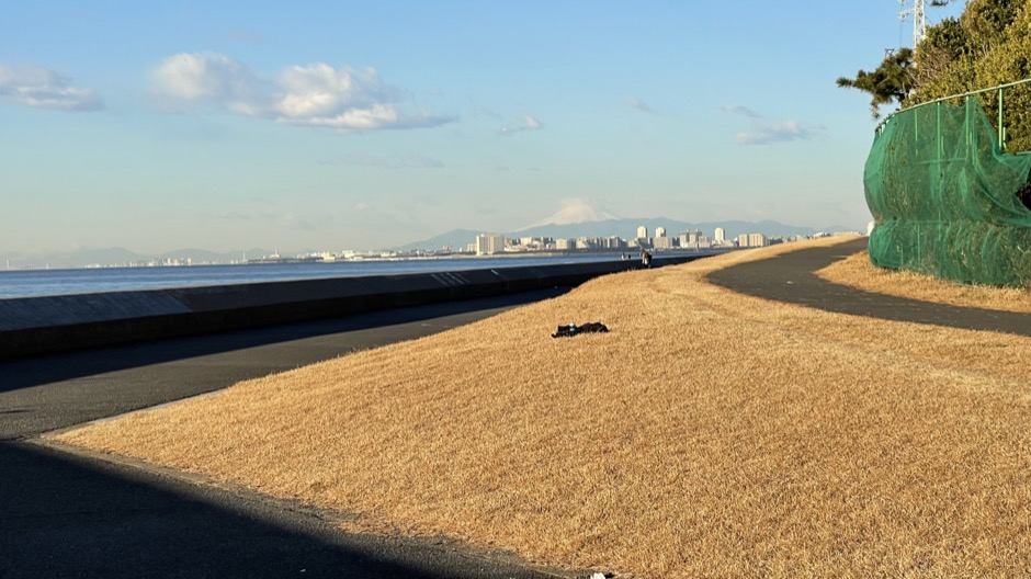 幕張ランニングコース「茜浜緑地」-4